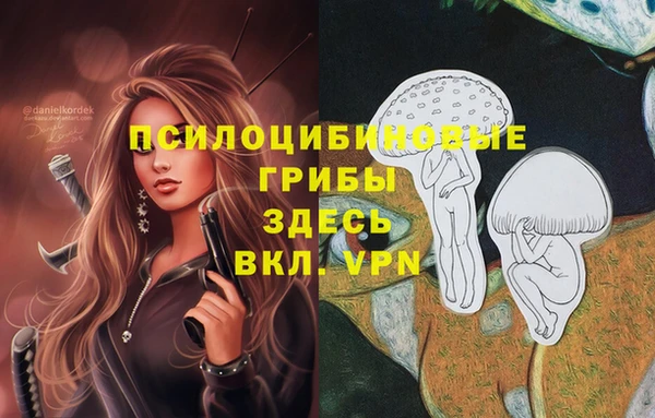 дживик Касимов