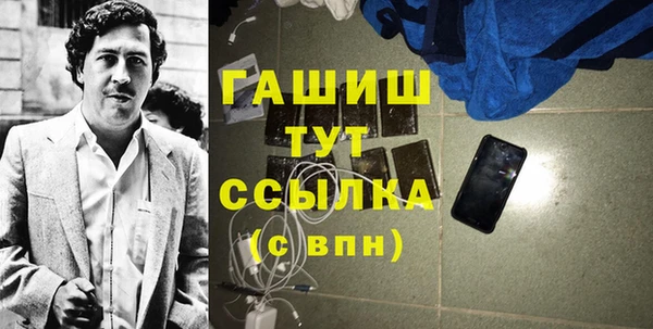 гидра Каменногорск