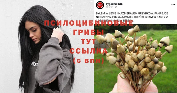 дживик Касимов