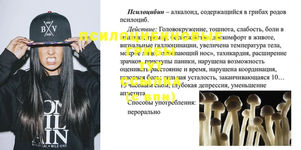 МДПВ Приозерск