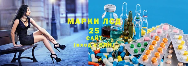 дживик Касимов