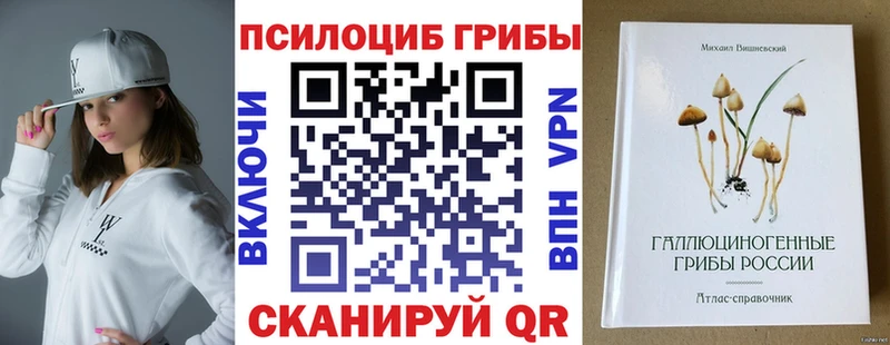 Купить  Волгореченск  Псилоцибиновые грибы прущие грибы 